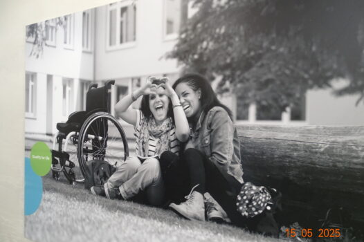 Ausili alla mobilità