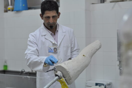 Progettazione e Sviluppo